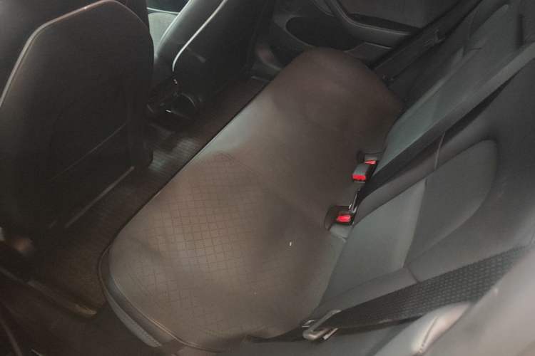 Used Tesla Model 3 2022 Rear-Wheel-Drive Version Left Rear Seat