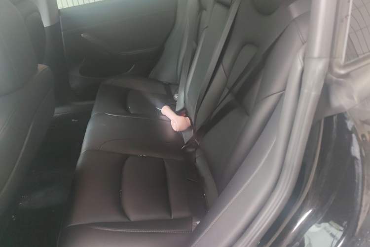 Used Tesla Model 3 2022 Rear-Wheel-Drive Version Left Rear Seat
