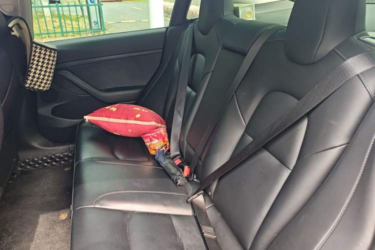 Used Tesla Model 3 2022 Rear-Wheel-Drive Version Left Rear Seat
