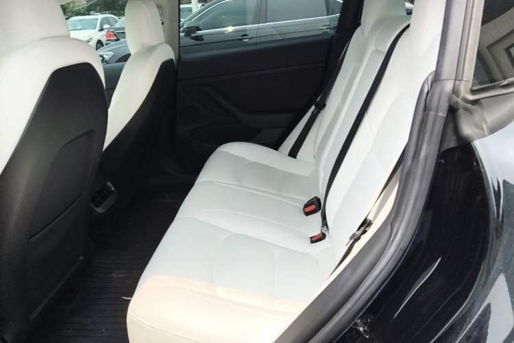 Used Tesla Model 3 2022 Performance High-Performance All-Wheel-Drive Version Left Rear Seat