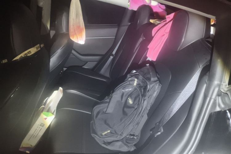 Used Tesla Model 3 2022 Rear-Wheel-Drive Version Left Rear Seat