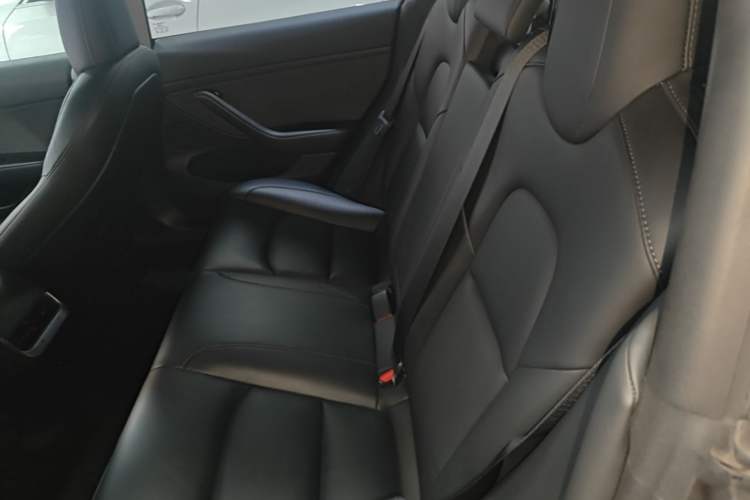 Used Tesla Model 3 2022 Rear-Wheel-Drive Version Left Rear Seat