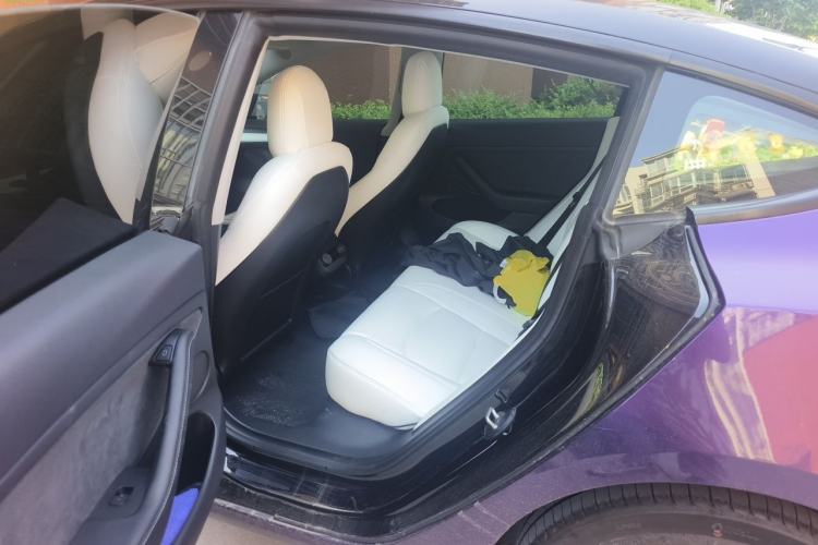 Used Tesla Model 3 2022 Rear-Wheel-Drive Version Left Rear Seat