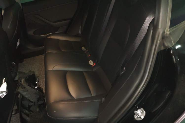 Used Tesla Model 3 2022 Rear-Wheel-Drive Version Left Rear Seat