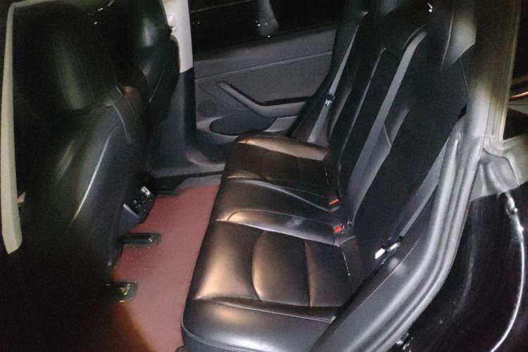 Used Tesla Model 3 2022 Rear-Wheel-Drive Version Left Rear Seat