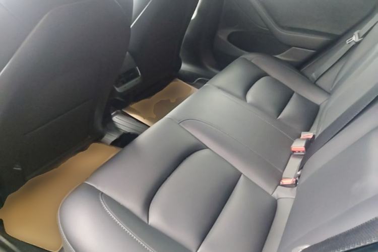 Used Tesla Model 3 2022 Rear-Wheel-Drive Version Left Rear Seat
