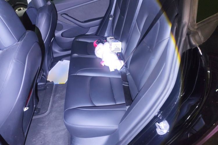 Used Tesla Model 3 2022 Rear-Wheel-Drive Version Left Rear Seat