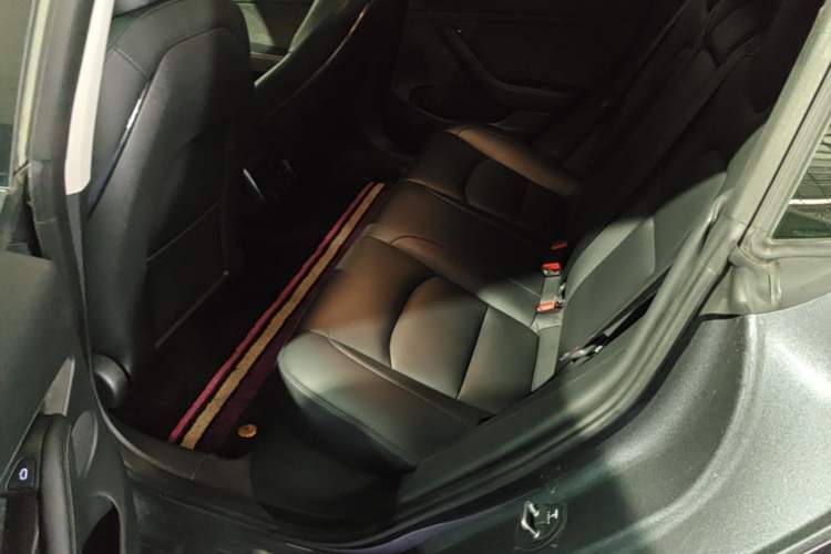 Used Tesla Model 3 2022 Rear-Wheel-Drive Version Left Rear Seat