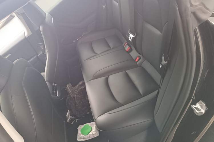 Used Tesla Model 3 2022 Performance High-Performance All-Wheel-Drive Version Left Rear Seat
