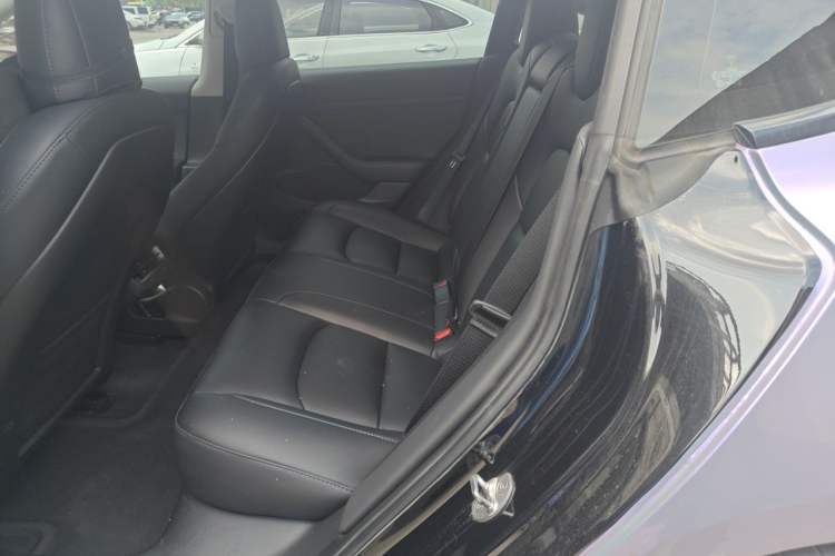 Used Tesla Model 3 2022 Rear-Wheel-Drive Version Left Rear Seat