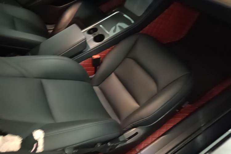 Used Tesla Model 3 2022 Rear-Wheel-Drive Version Right Front Seat