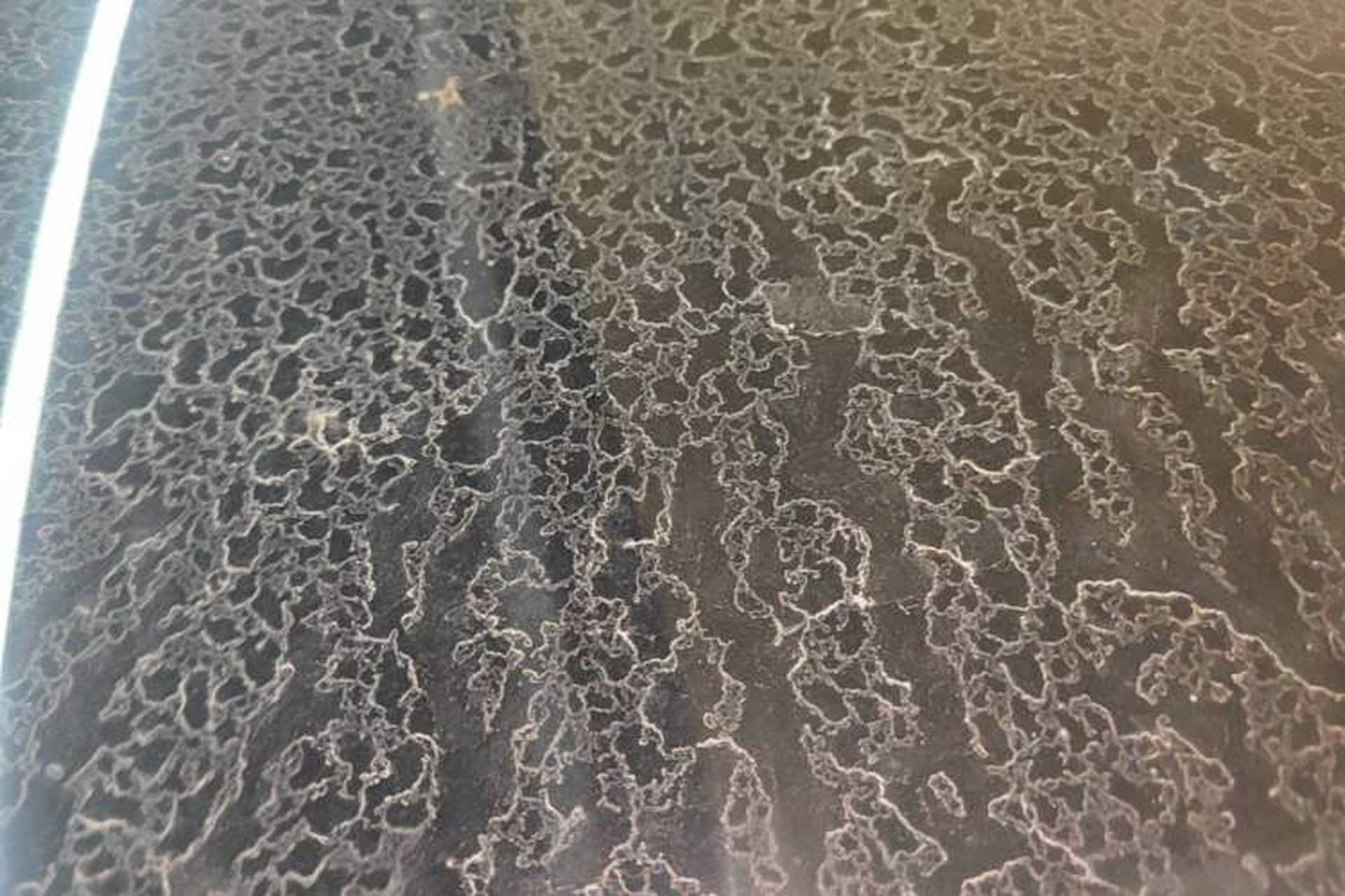 Used Tesla Model 3 2022 Rear-Wheel-Drive Version Roof