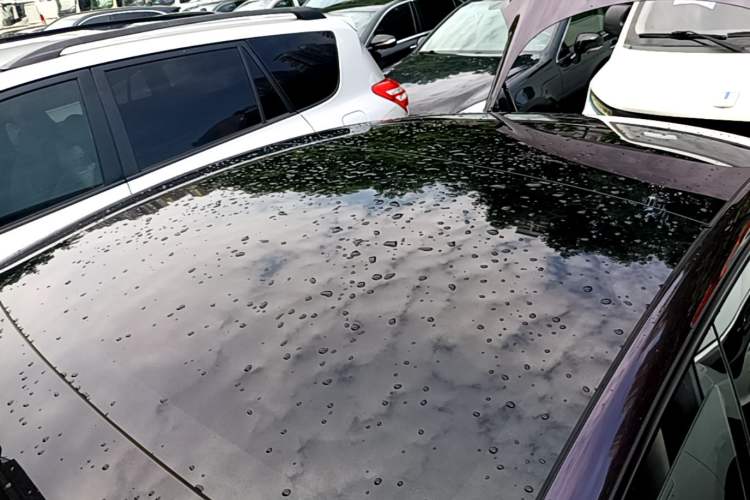Used Tesla Model 3 2022 Rear-Wheel-Drive Version Roof