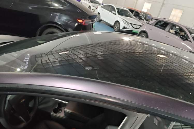 Used Tesla Model 3 2022 Rear-Wheel-Drive Version Roof