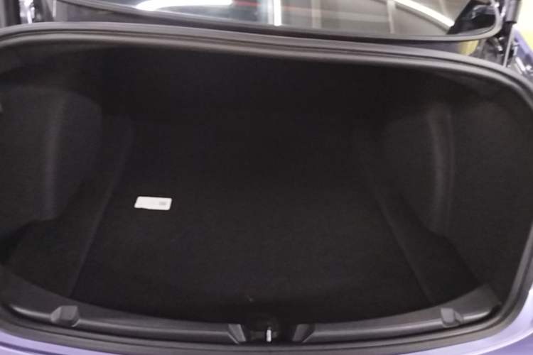 Used Tesla Model 3 2022 Rear-Wheel-Drive Version Trunk