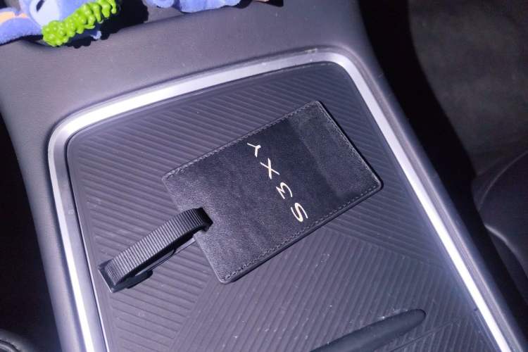 Used Tesla Model 3 2022 Rear-Wheel-Drive Version Vehicle Key