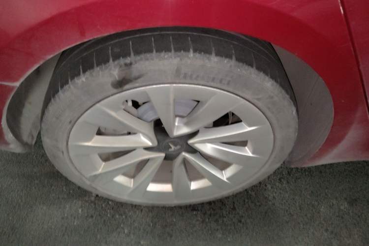 Used Tesla Model 3 2022 Rear-Wheel-Drive Version Exterior 5