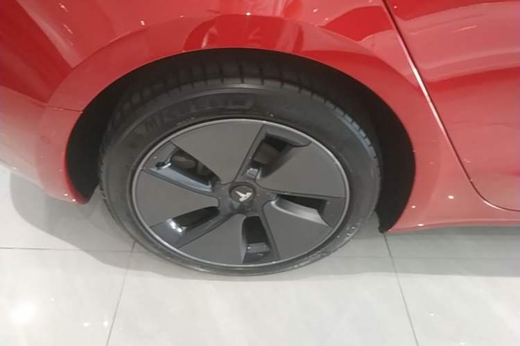 Used Tesla Model 3 2022 Rear-Wheel-Drive Version Exterior 5