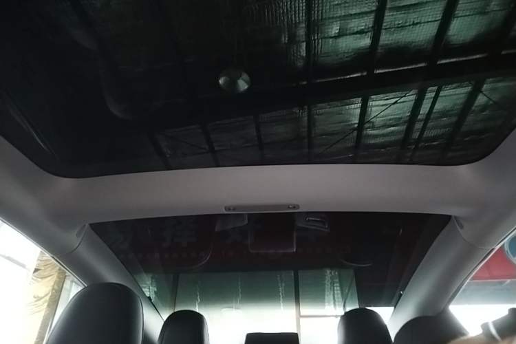 Used Tesla Model 3 2022 Rear-Wheel-Drive Version Headliner