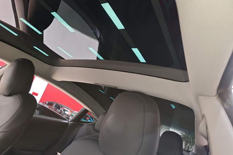 Used Tesla Model 3 2022 Rear-Wheel-Drive Version Headliner