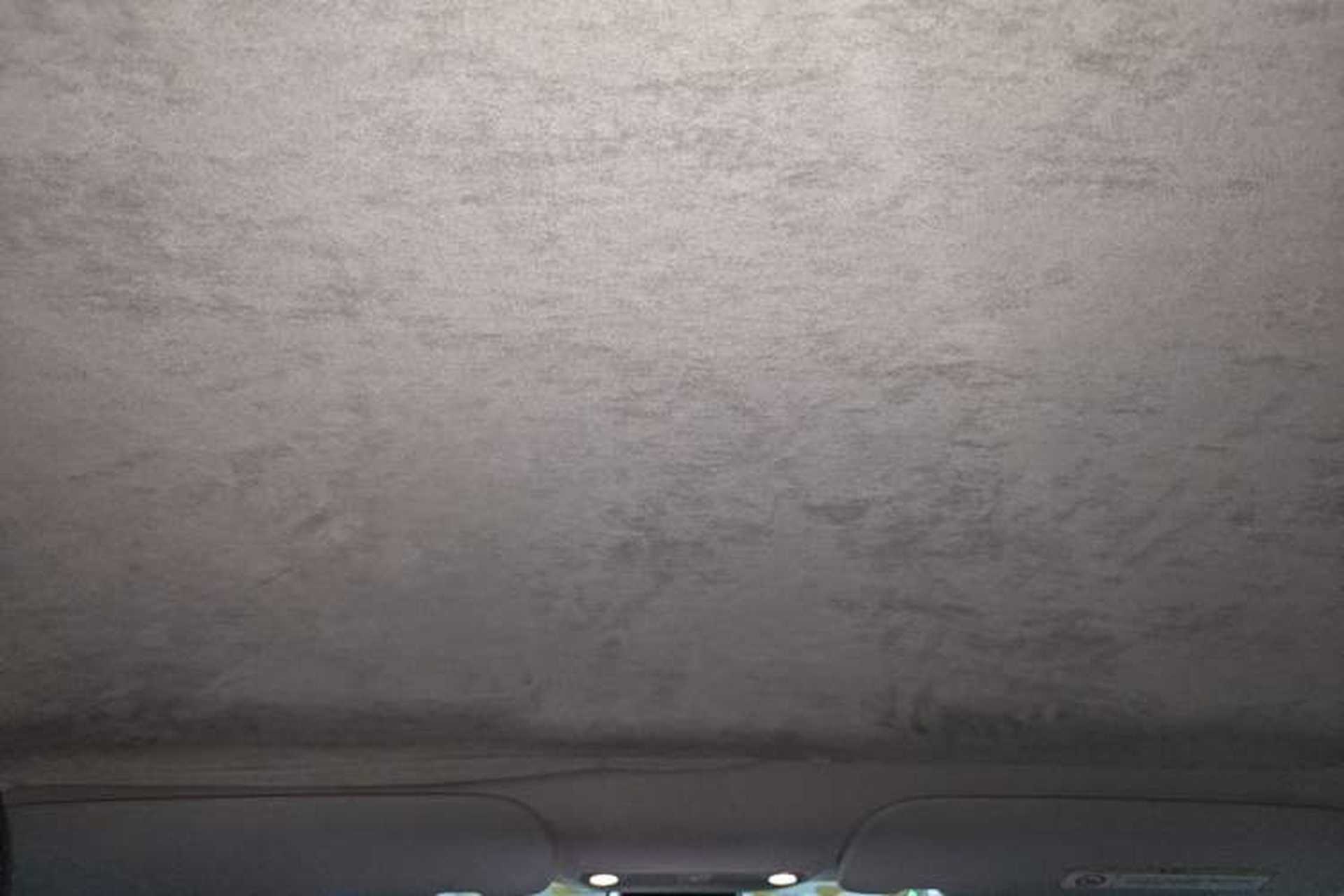 Used Tesla Model 3 2022 Performance High-Performance All-Wheel-Drive Version Headliner