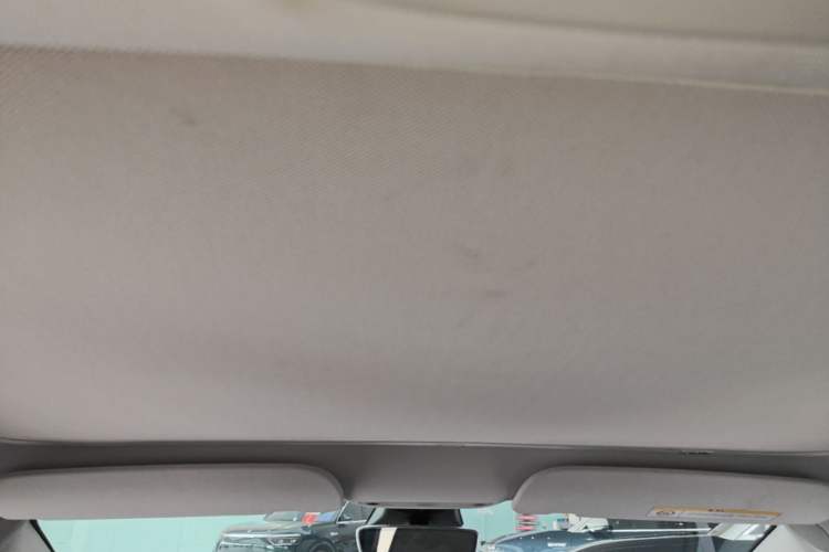 Used Tesla Model 3 2022 Rear-Wheel-Drive Version Headliner