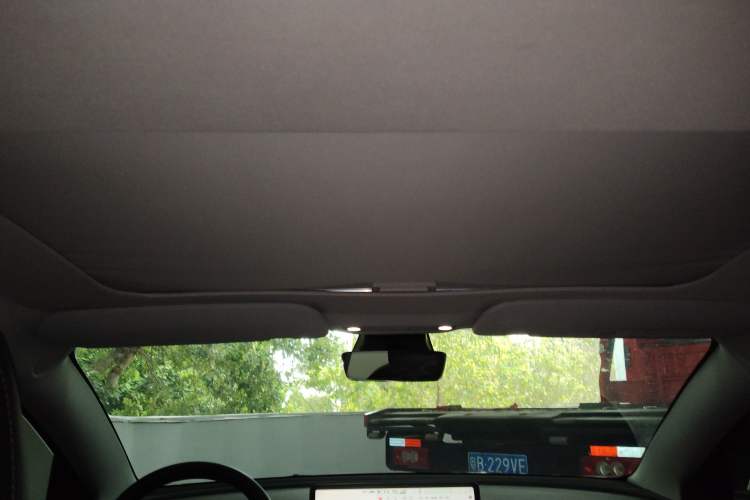 Used Tesla Model 3 2022 Rear-Wheel-Drive Version Headliner