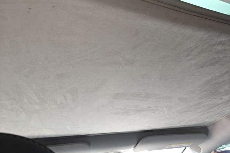 Used Tesla Model 3 2022 Rear-Wheel-Drive Version Headliner