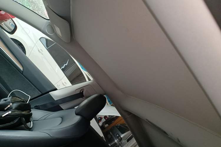Used Tesla Model 3 2022 Rear-Wheel-Drive Version Headliner
