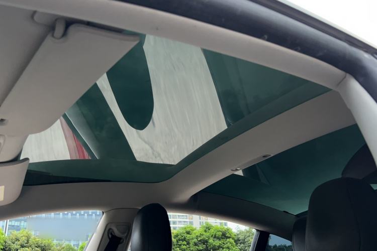 Used Tesla Model 3 2022 Performance High-Performance All-Wheel-Drive Version Headliner