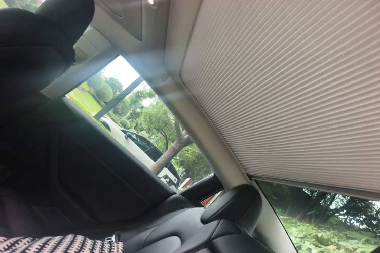 Used Tesla Model 3 2022 Performance High-Performance All-Wheel-Drive Version Headliner