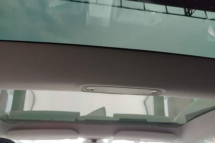 Used Tesla Model 3 2022 Rear-Wheel-Drive Version Headliner