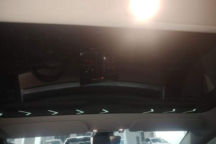 Used Tesla Model 3 2022 Performance High-Performance All-Wheel-Drive Version Headliner