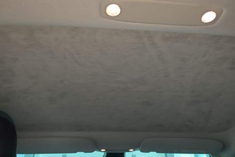 Used Tesla Model 3 2022 Rear-Wheel-Drive Version Headliner
