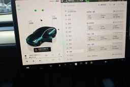 Thumbnail 13