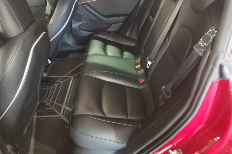 Used Tesla Model 3 2022 Performance High-Performance All-Wheel-Drive Version Left Rear Seat