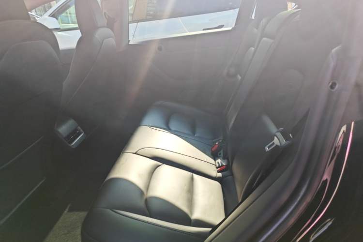 Used Tesla Model 3 2022 Rear-Wheel-Drive Version Left Rear Seat