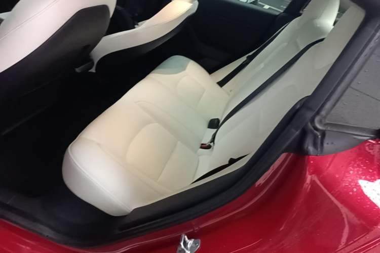 Used Tesla Model 3 2022 Performance High-Performance All-Wheel-Drive Version Left Rear Seat