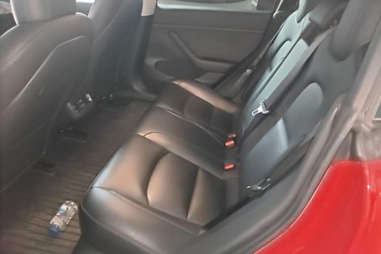 Used Tesla Model 3 2022 Rear-Wheel-Drive Version Left Rear Seat