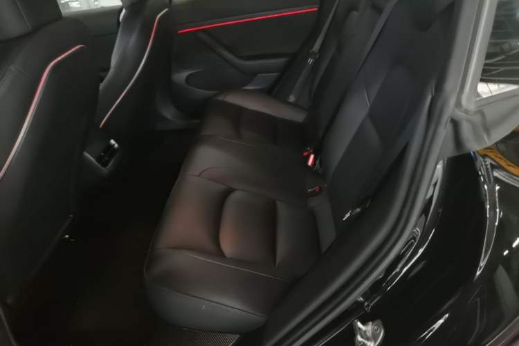 Used Tesla Model 3 2022 Rear-Wheel-Drive Version Left Rear Seat