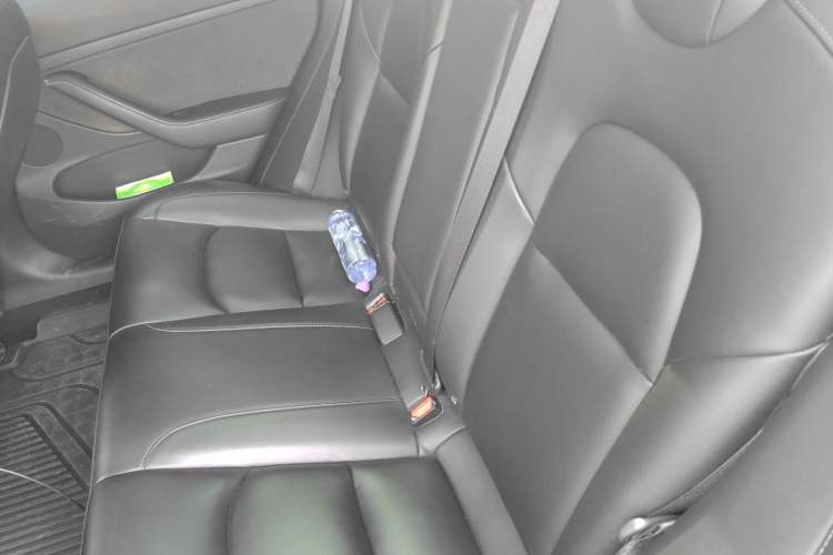 Used Tesla Model 3 2022 Performance High-Performance All-Wheel-Drive Version Left Rear Seat