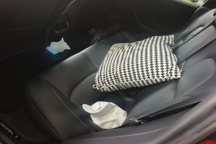 Used Tesla Model 3 2022 Performance High-Performance All-Wheel-Drive Version Left Rear Seat