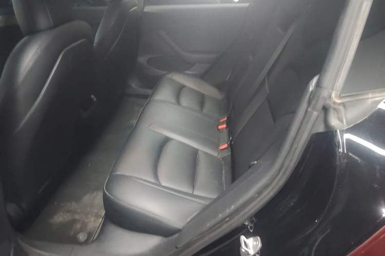 Used Tesla Model 3 2022 Performance High-Performance All-Wheel-Drive Version Left Rear Seat
