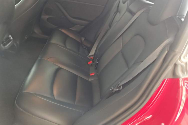 Used Tesla Model 3 2022 Rear-Wheel-Drive Version Left Rear Seat