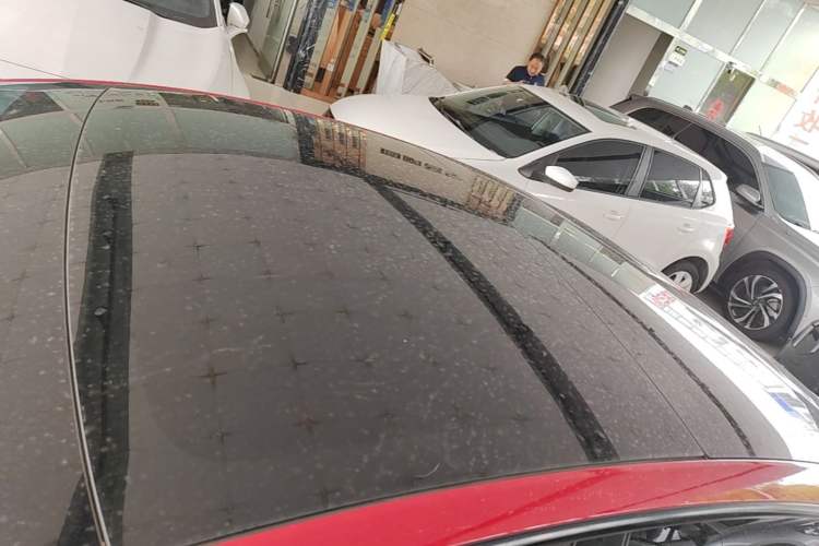 Used Tesla Model 3 2022 Rear-Wheel-Drive Version Roof