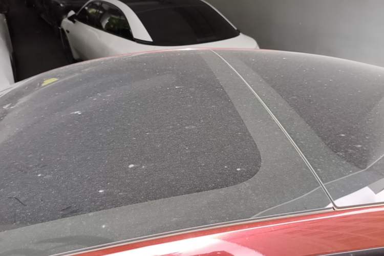 Used Tesla Model 3 2022 Rear-Wheel-Drive Version Roof