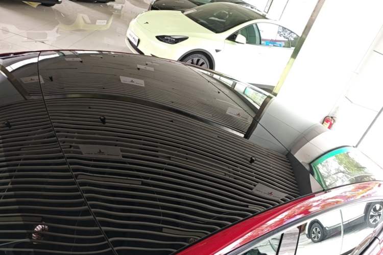 Used Tesla Model 3 2022 Rear-Wheel-Drive Version Roof