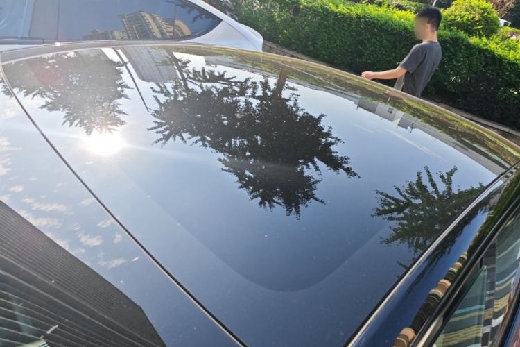 Used Tesla Model 3 2022 Rear-Wheel-Drive Version Roof