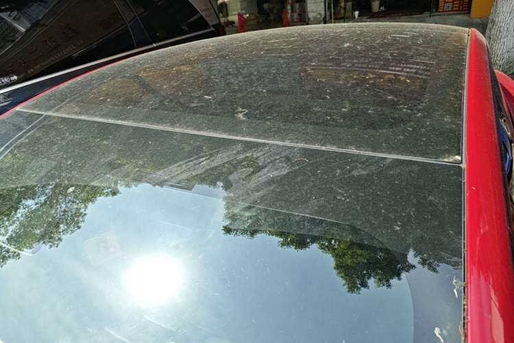 Used Tesla Model 3 2022 Rear-Wheel-Drive Version Roof