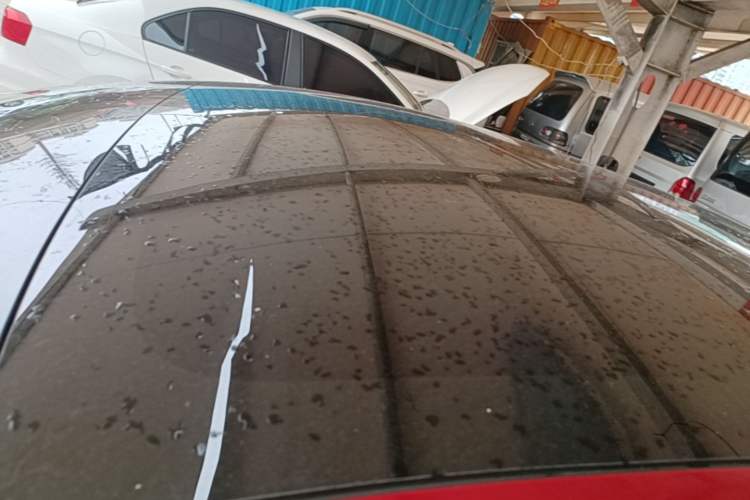 Used Tesla Model 3 2022 Rear-Wheel-Drive Version Roof